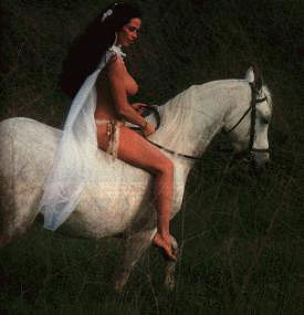 White Arabian
